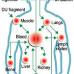 How-DU-enters-body