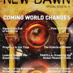 Special Issue 6