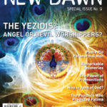 Special Issue 9