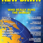 New Dawn cover 118 New Dawn cover 118