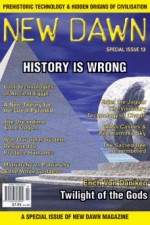 Special Issue 13