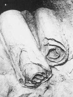 Copperscroll Copperscroll