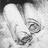 Copperscroll Copperscroll