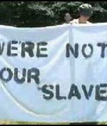 bilderberg-2008