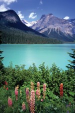 lake
