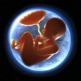 iStock_000016443295XXXLarge