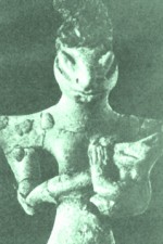 lizard