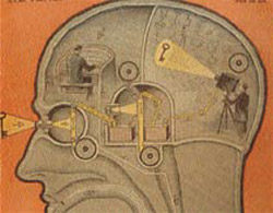 head
