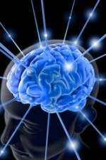 brain-763982
