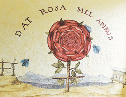 09_01_datrosa