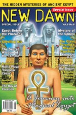 CoverV8N6
