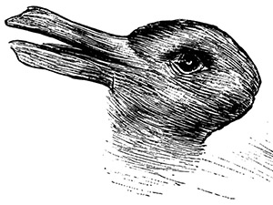 ‘Reality Tunnels’, How To Control & Re-Program Your Mind Duck-rabbit