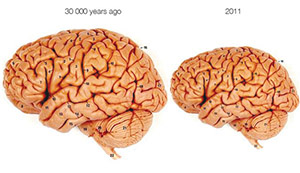 Renewal & Integration In A Time Of Decline & Conformity  Main-qimg-6729ee6562f78a2676246bc68f8327de-lq