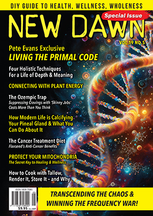 New Dawn Special Issue Vol.19 No.5